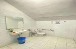 toilet disabi